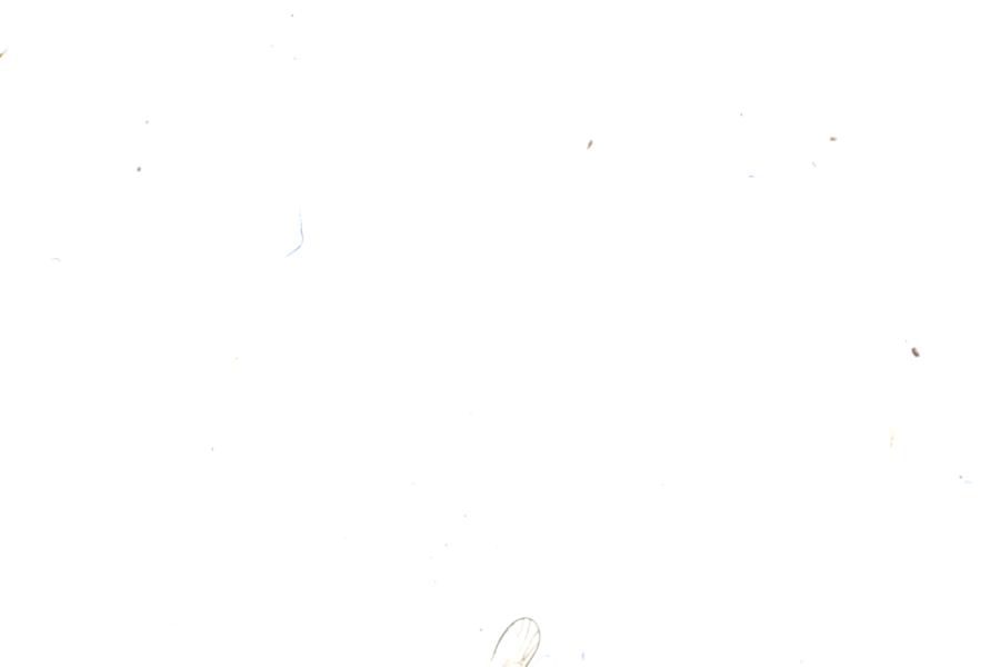 Image 32